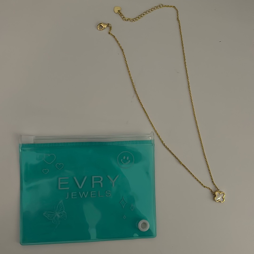 Evry Jewels Necklacy